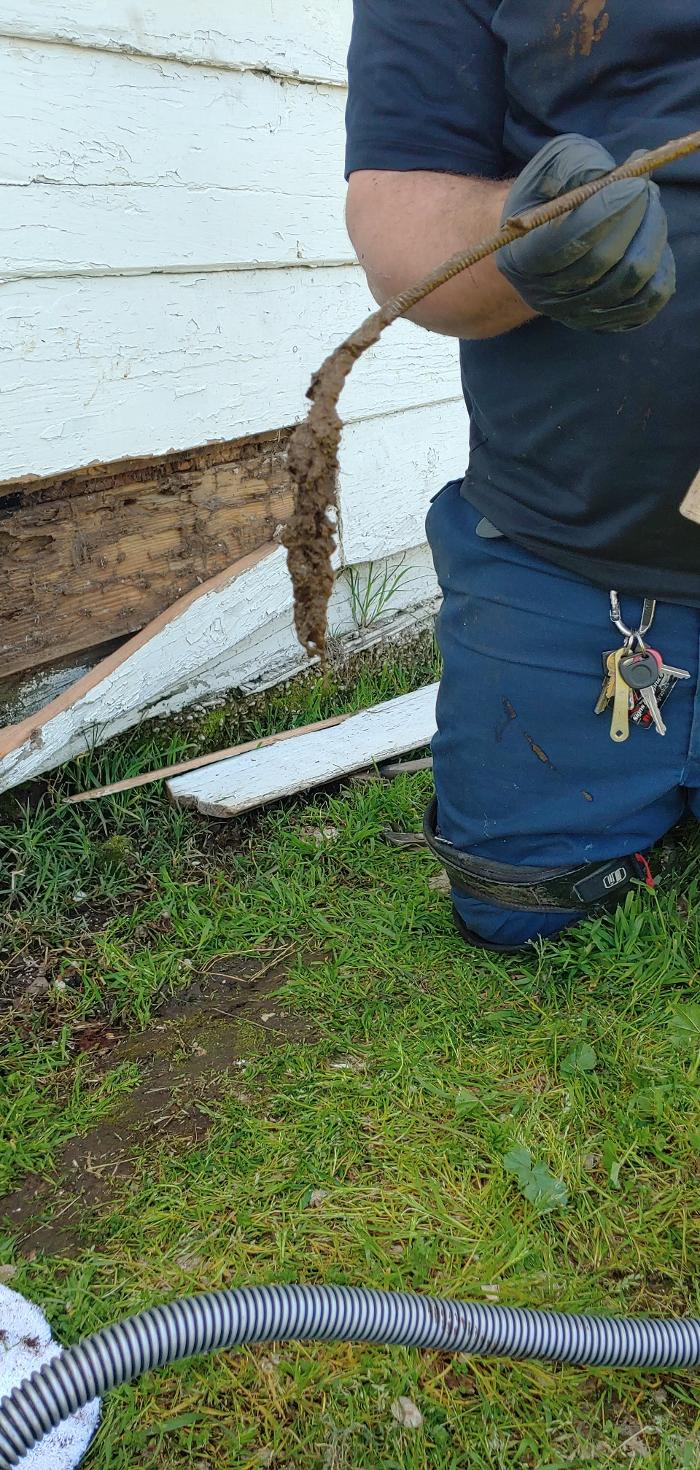 Mr. Ed's Plumbing & Rooter Service Image