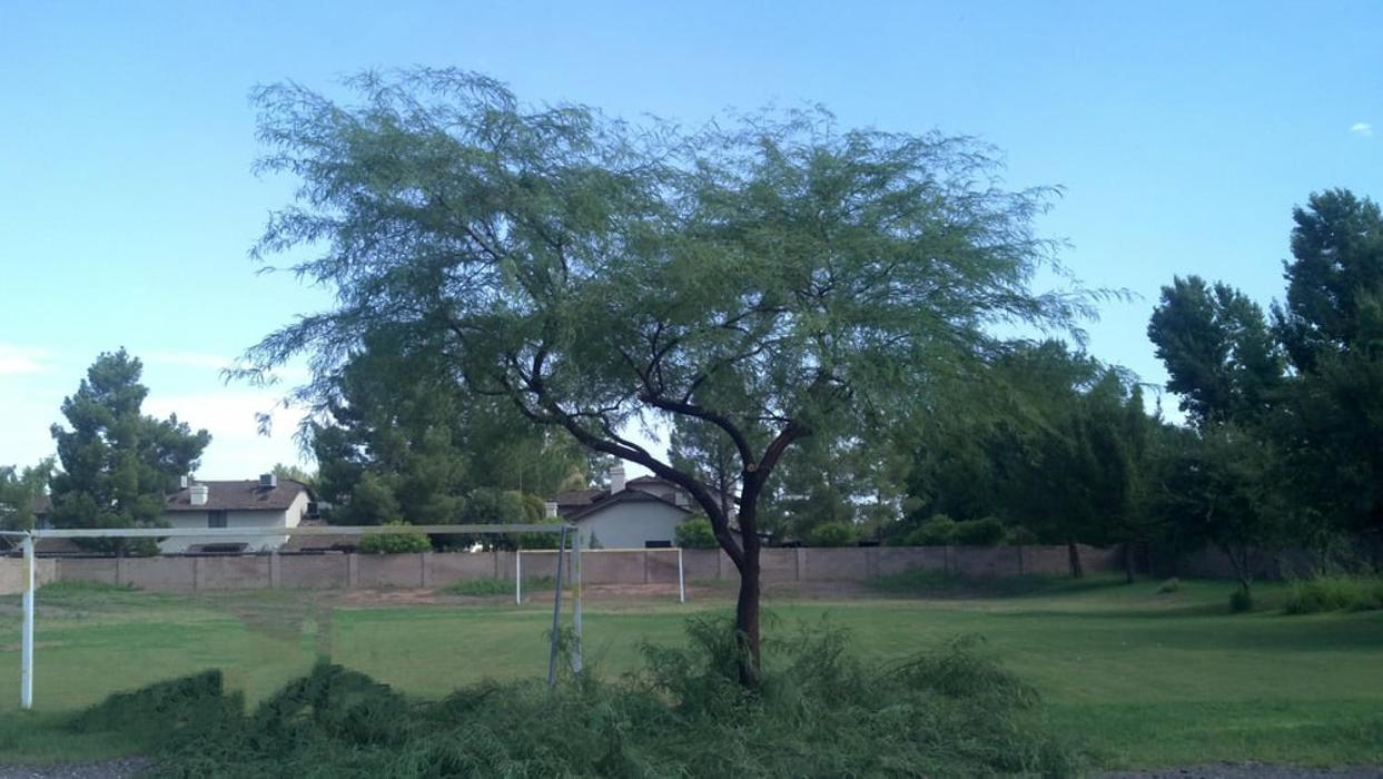 Arizona Horticultural Alliance - Chandler, AZ