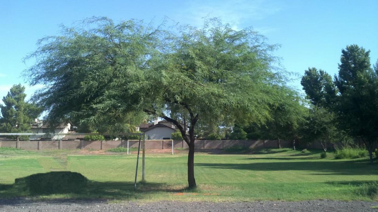 Arizona Horticultural Alliance - Chandler, AZ