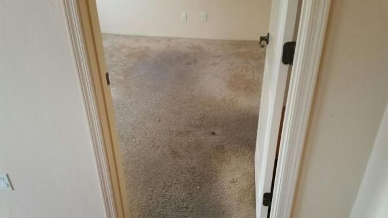 Sierra Vista Professional Cleaning - Sierra Vista, AZ