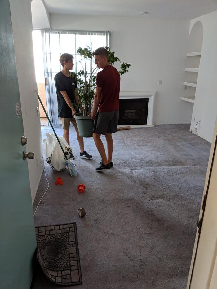 Chamomile Moving LLC - Sherman Oaks, CA