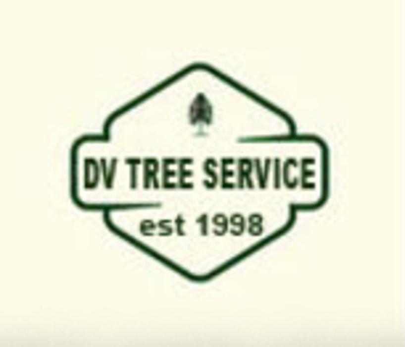 Daniel Valencia Tree Service - West Palm Beach, FL