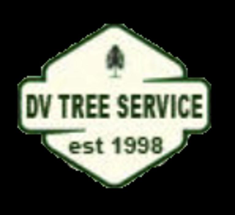 Daniel Valencia Tree Service - West Palm Beach, FL
