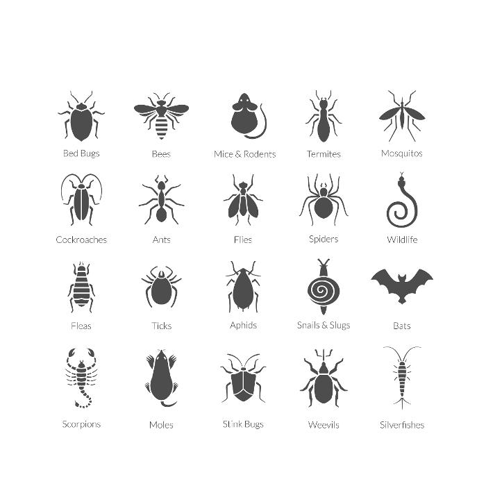 Get Rid Pest Control - Elizabeth, NJ