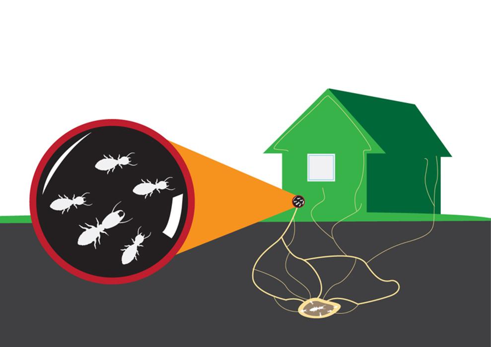 Get Rid Pest Control - Elizabeth, NJ
