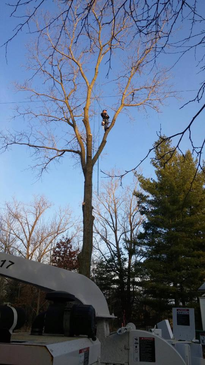 Turman's Tree & Landscape - Orion, MI