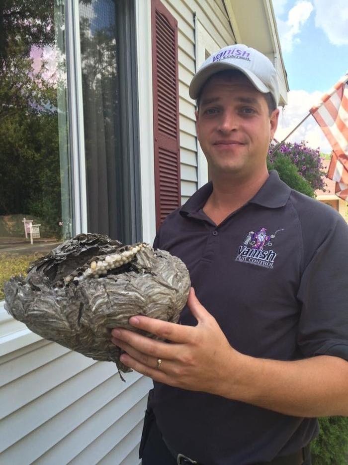 Vanish Pest Control, LLC - Commerce Township, MI