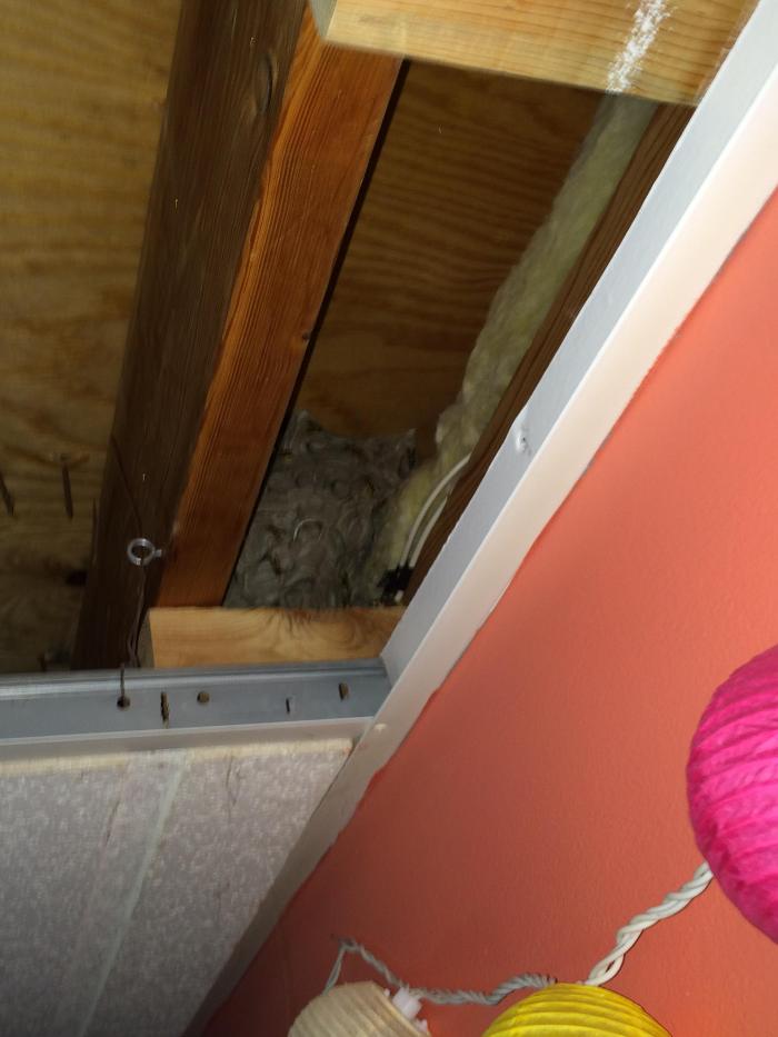 Vanish Pest Control, LLC - Commerce Township, MI