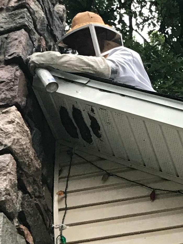 Vanish Pest Control, LLC - Commerce Township, MI