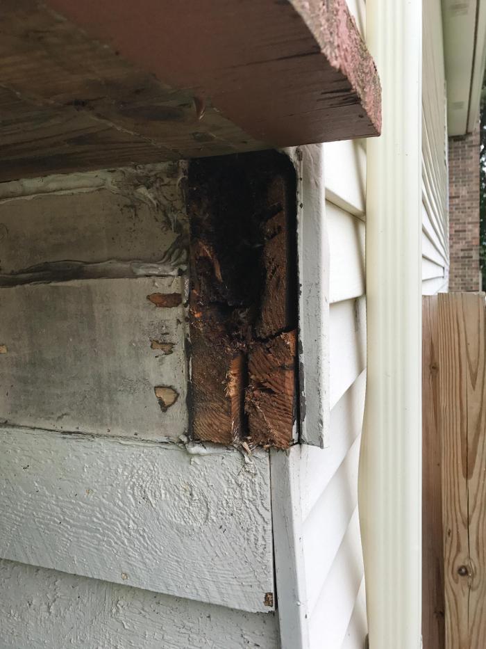 Vanish Pest Control, LLC - Commerce Township, MI