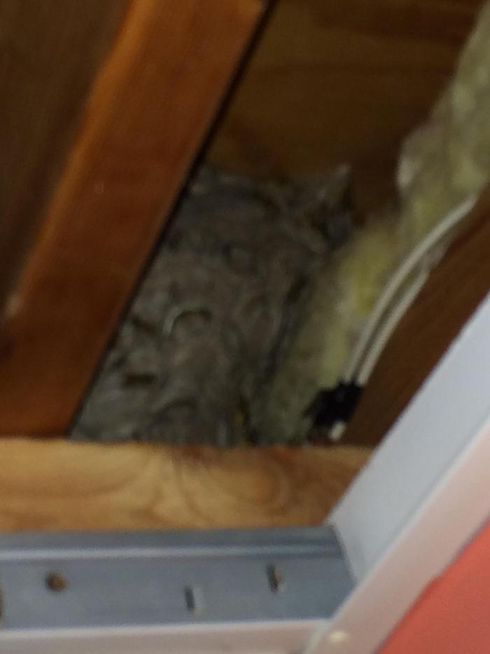 Vanish Pest Control, LLC - Commerce Township, MI