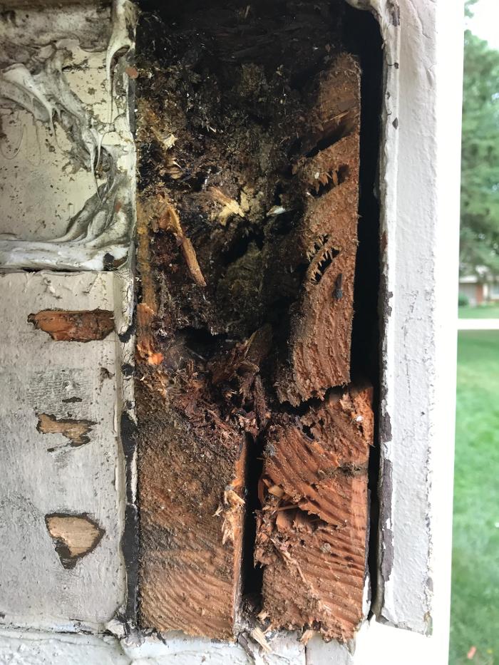 Vanish Pest Control, LLC - Commerce Township, MI