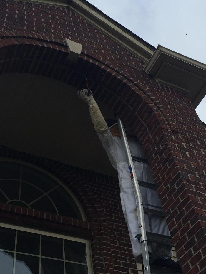 Vanish Pest Control, LLC - Commerce Township, MI