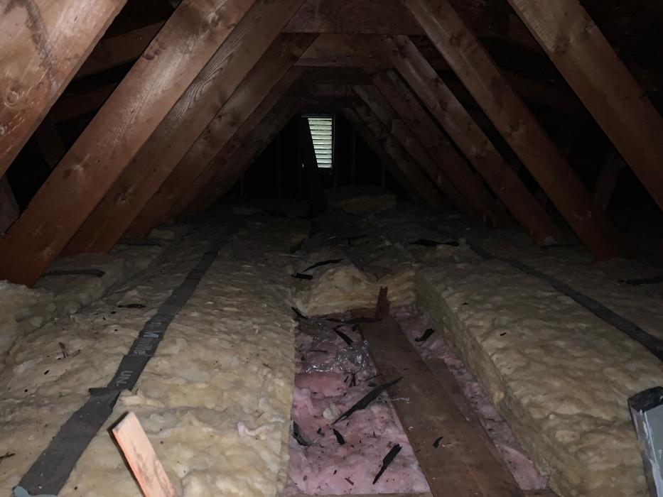 4SITE Inspections of Michigan - Freeland, MI