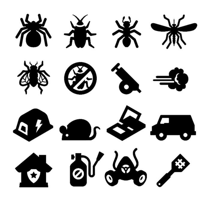 Webenex Services Pest Control - Groveland, FL