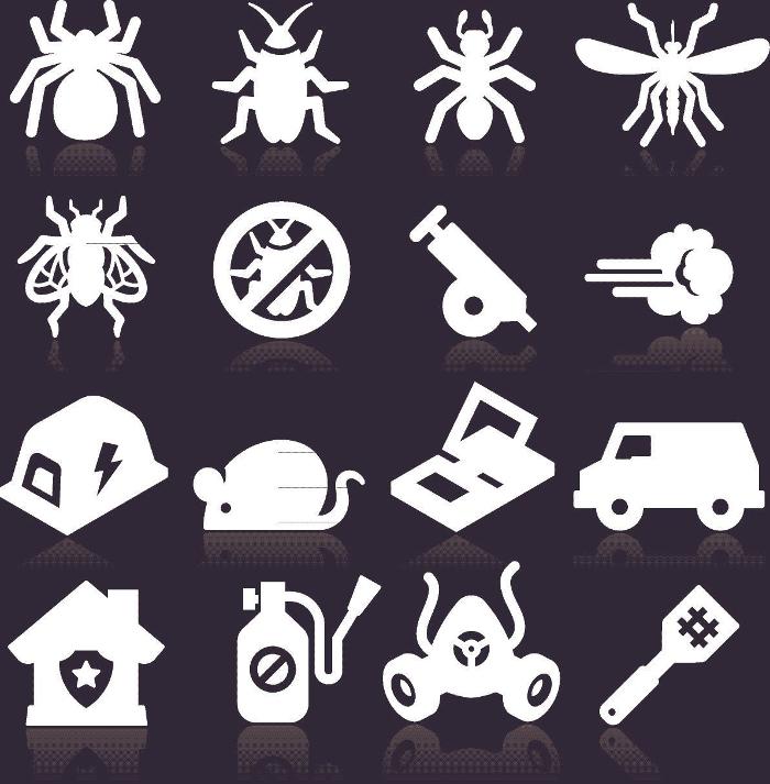 Webenex Services Pest Control - Groveland, FL