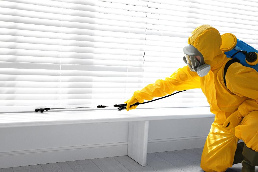 Webenex Services Pest Control - Groveland, FL