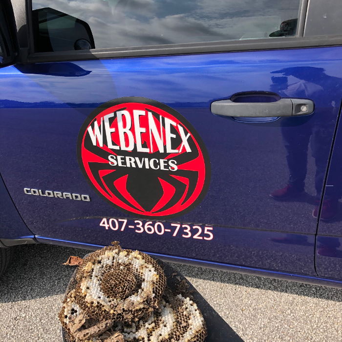 Webenex Services Pest Control - Groveland, FL