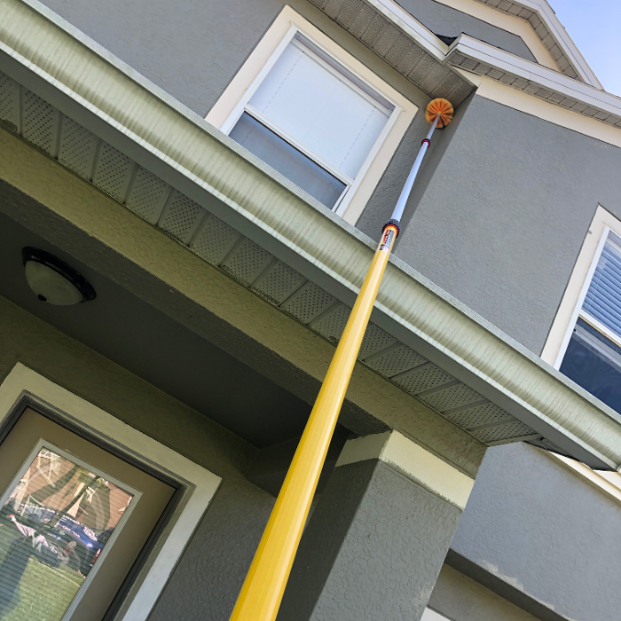 Webenex Services Pest Control - Groveland, FL