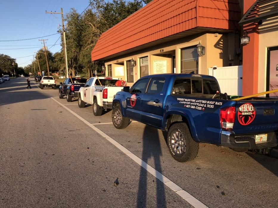 Webenex Services Pest Control - Groveland, FL