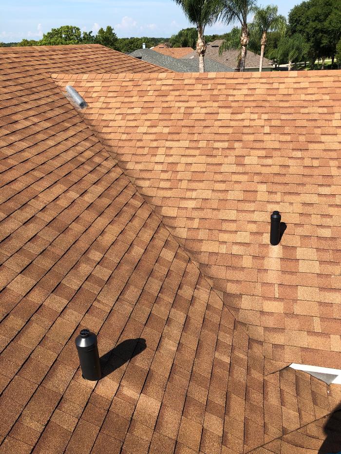 Webenex Services Pest Control - Groveland, FL