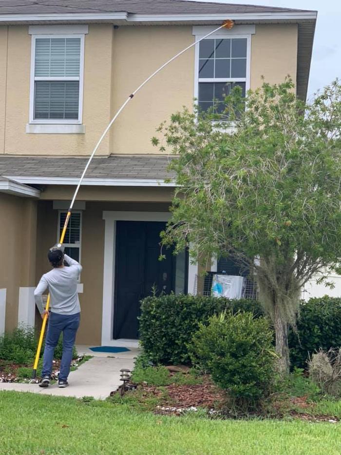 Webenex Services Pest Control - Groveland, FL