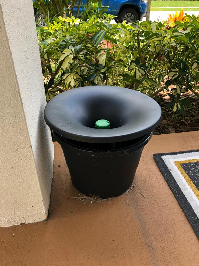 Webenex Services Pest Control - Groveland, FL
