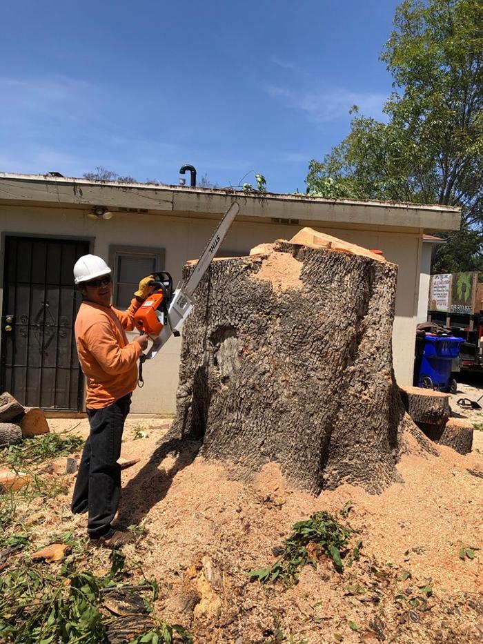 Lopez Tree Care - El Cajon, CA