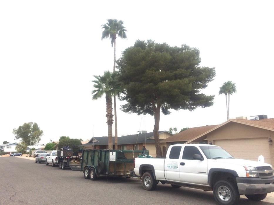 Alliance Manpower LLC - Phoenix, AZ