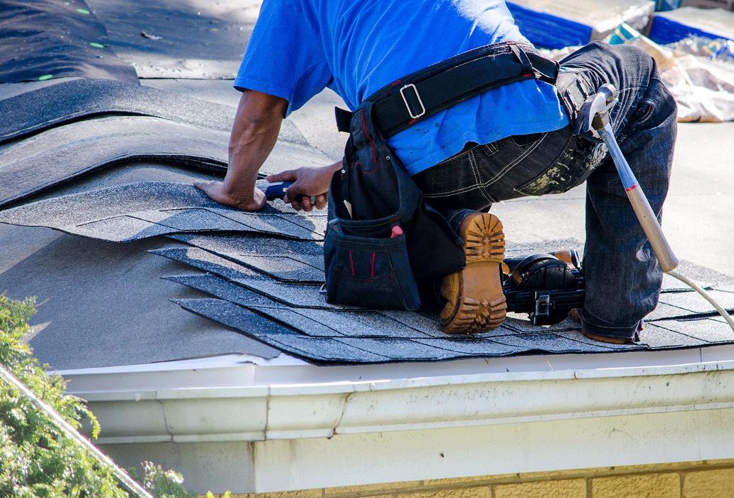 Reanimate Roofing, Solar & Water - Burlington, NJ
