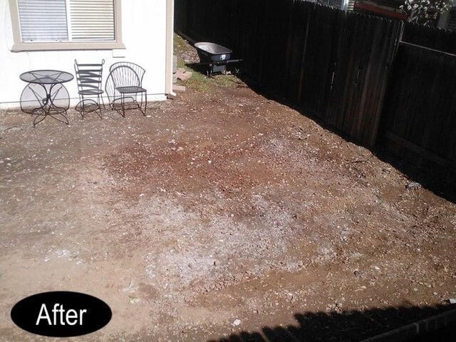 Rich's Junk Hauling & Dumpster Rental - Sacramento, CA