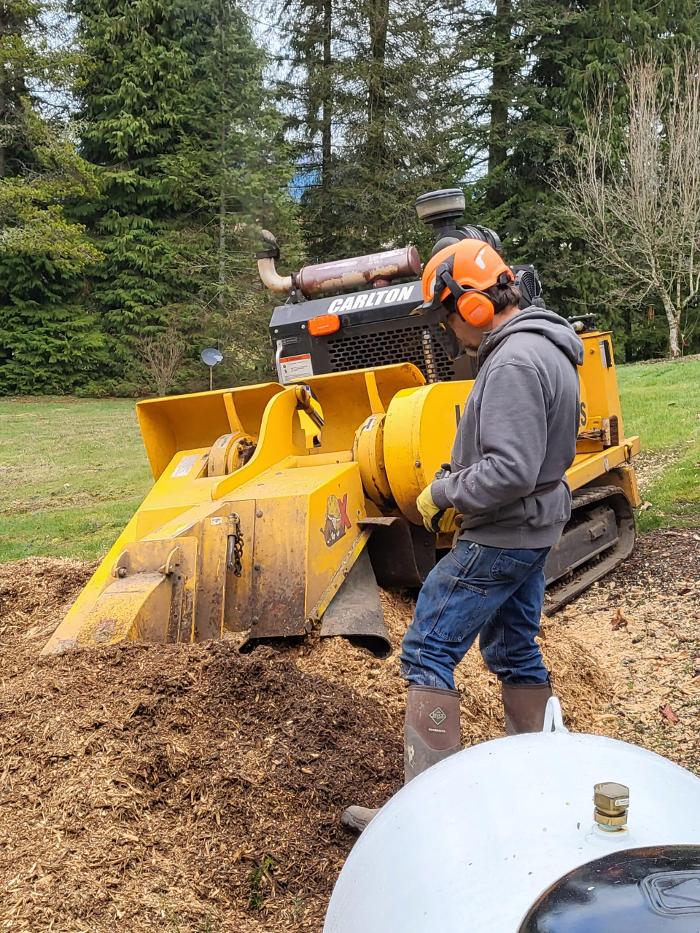 Faley Stump Grinding - Vancouver, WA