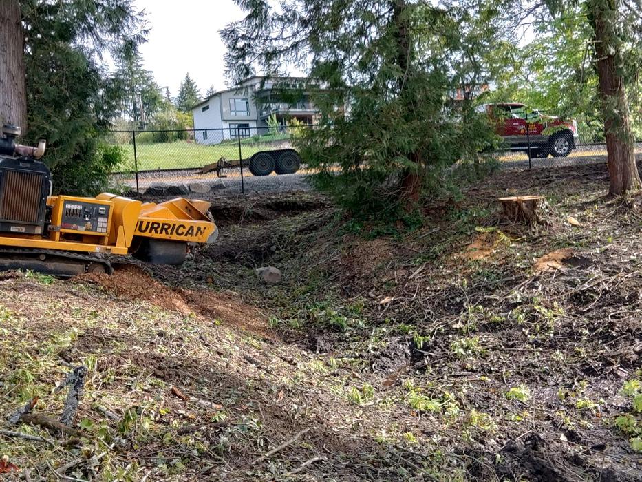 Faley Stump Grinding - Vancouver, WA
