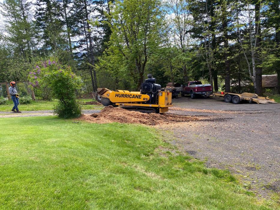 Faley Stump Grinding - Vancouver, WA