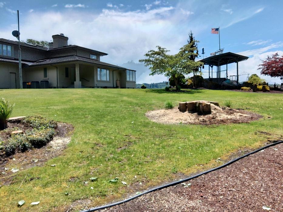 Faley Stump Grinding - Vancouver, WA