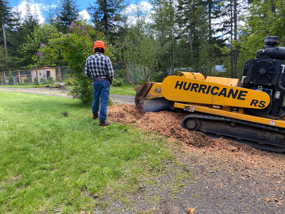 Faley Stump Grinding - Vancouver, WA