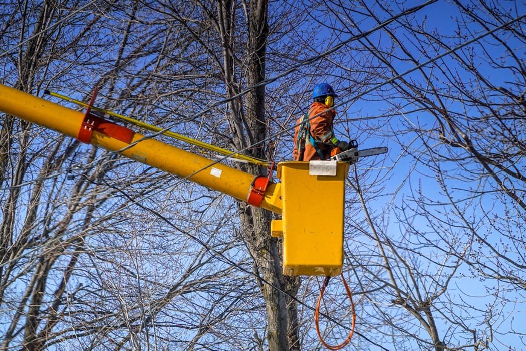 ACG Construction & Tree Removal - Williams, IN