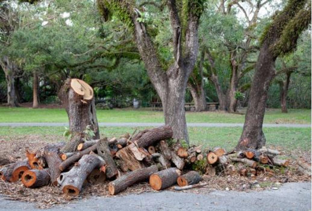ACG Construction & Tree Removal - Williams, IN