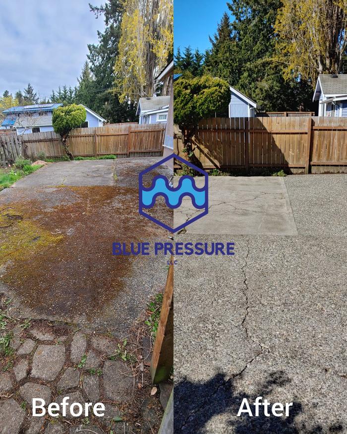 Blue Pressure - Bellingham, WA