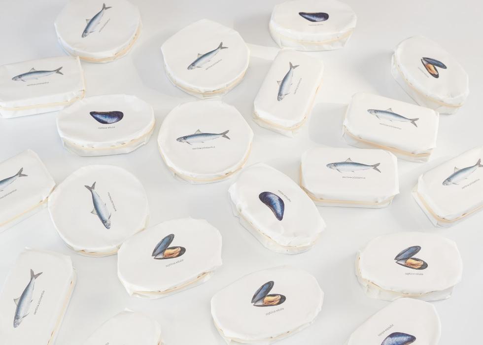 PYSCIS GmbH, Breite Gasse in Wien