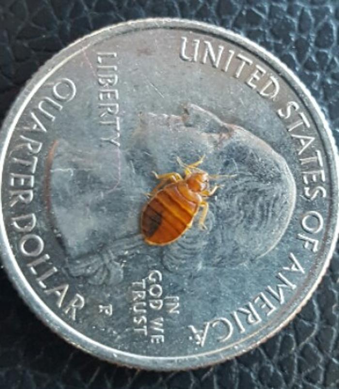 Complete Ground Control - Alexandria, MN