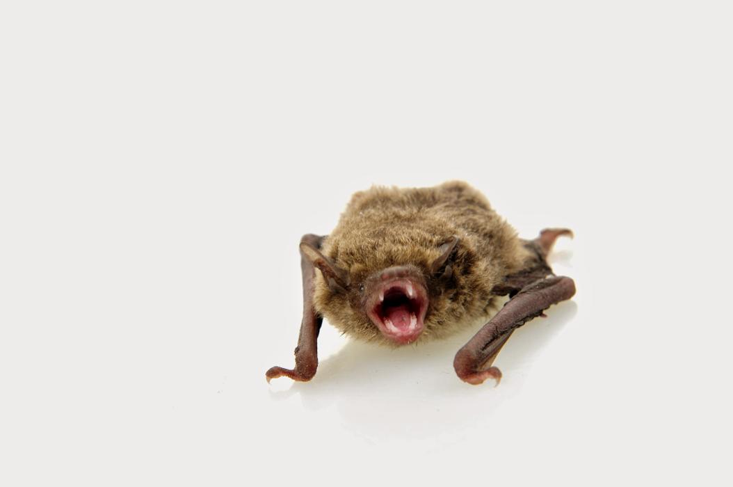 Complete Ground Control - Alexandria, MN