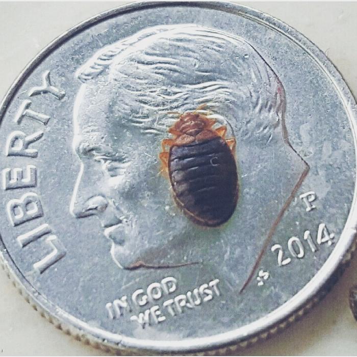 Complete Ground Control - Alexandria, MN