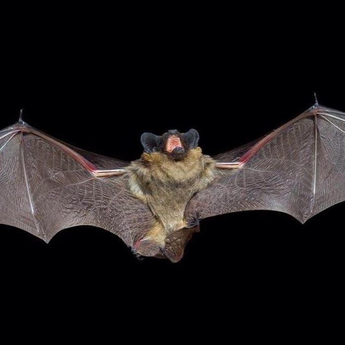 Complete Ground Control - Alexandria, MN