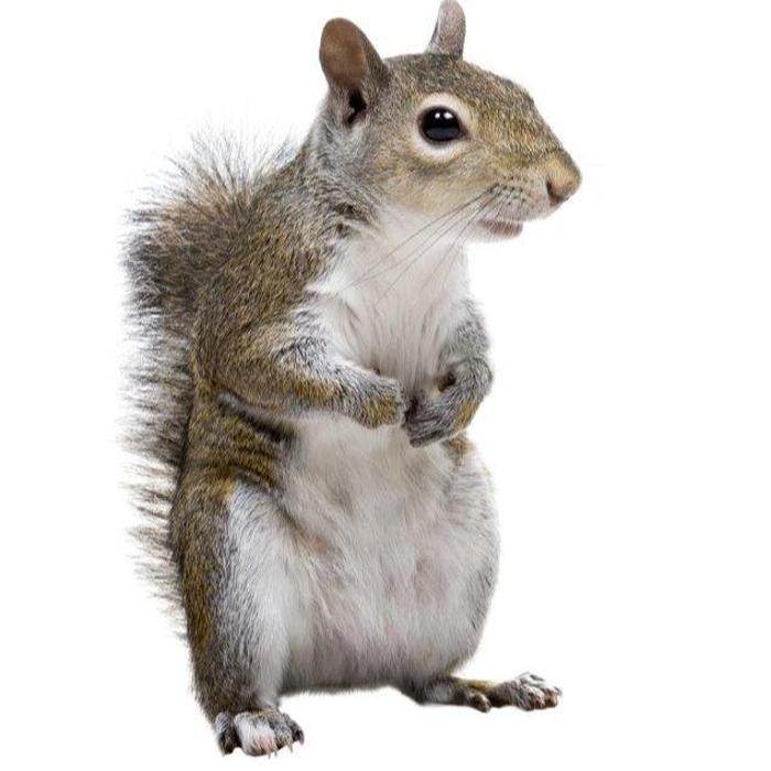 Complete Ground Control - Alexandria, MN