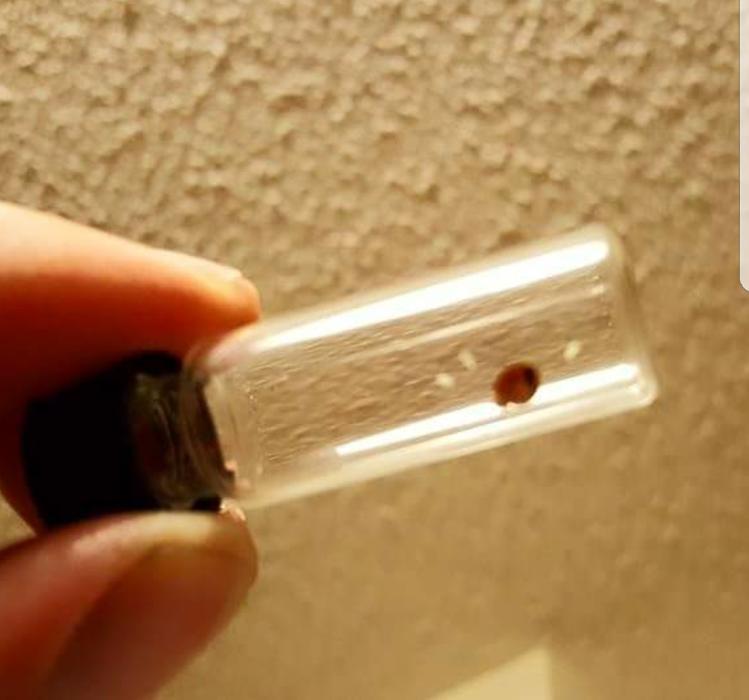 Complete Ground Control - Alexandria, MN