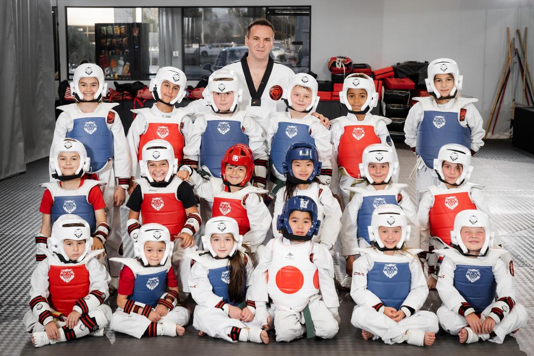 Lions Taekwondo Academy - Van Nuys, CA