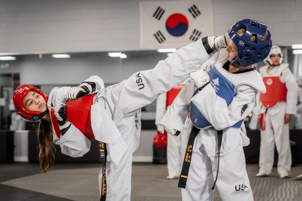 Lions Taekwondo Academy - Van Nuys, CA