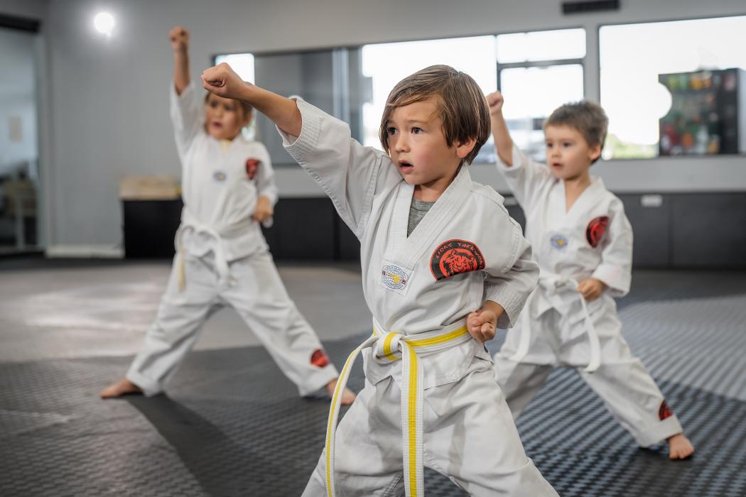 Lions Taekwondo Academy - Van Nuys, CA