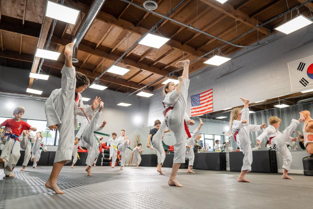 Lions Taekwondo Academy - Van Nuys, CA